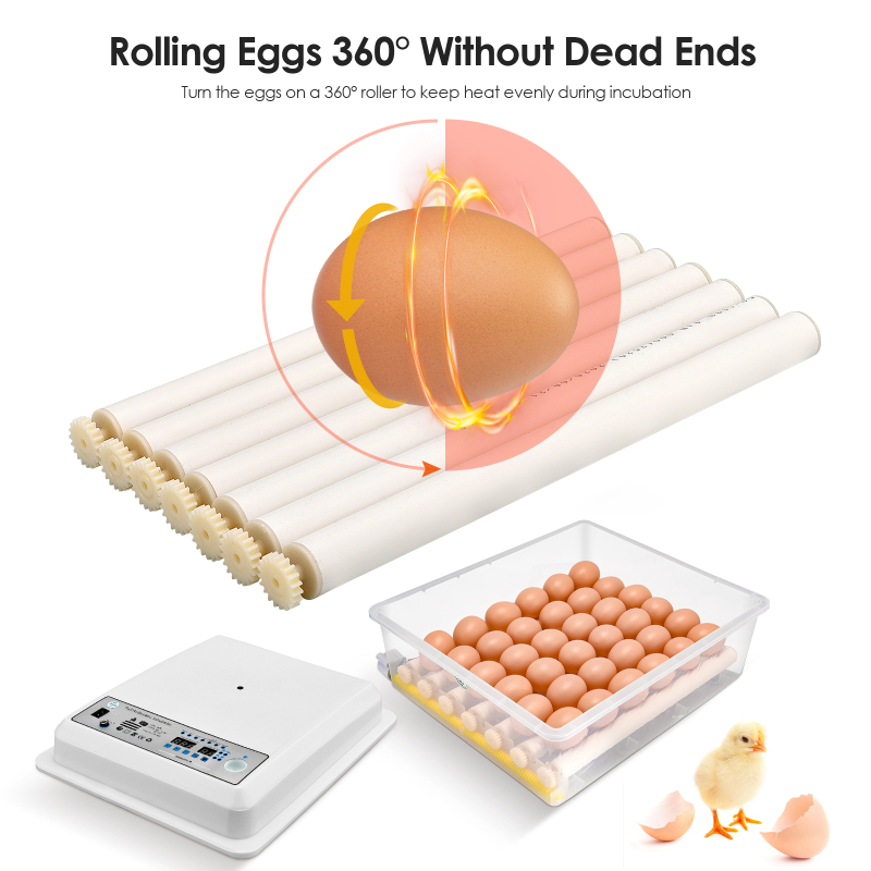 Chicken Egg Incubator | Hatching Chicken Eggs
