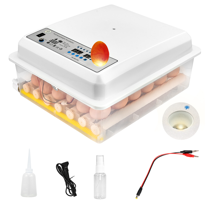 Chicken Egg Incubator | Hatching Chicken Eggs
