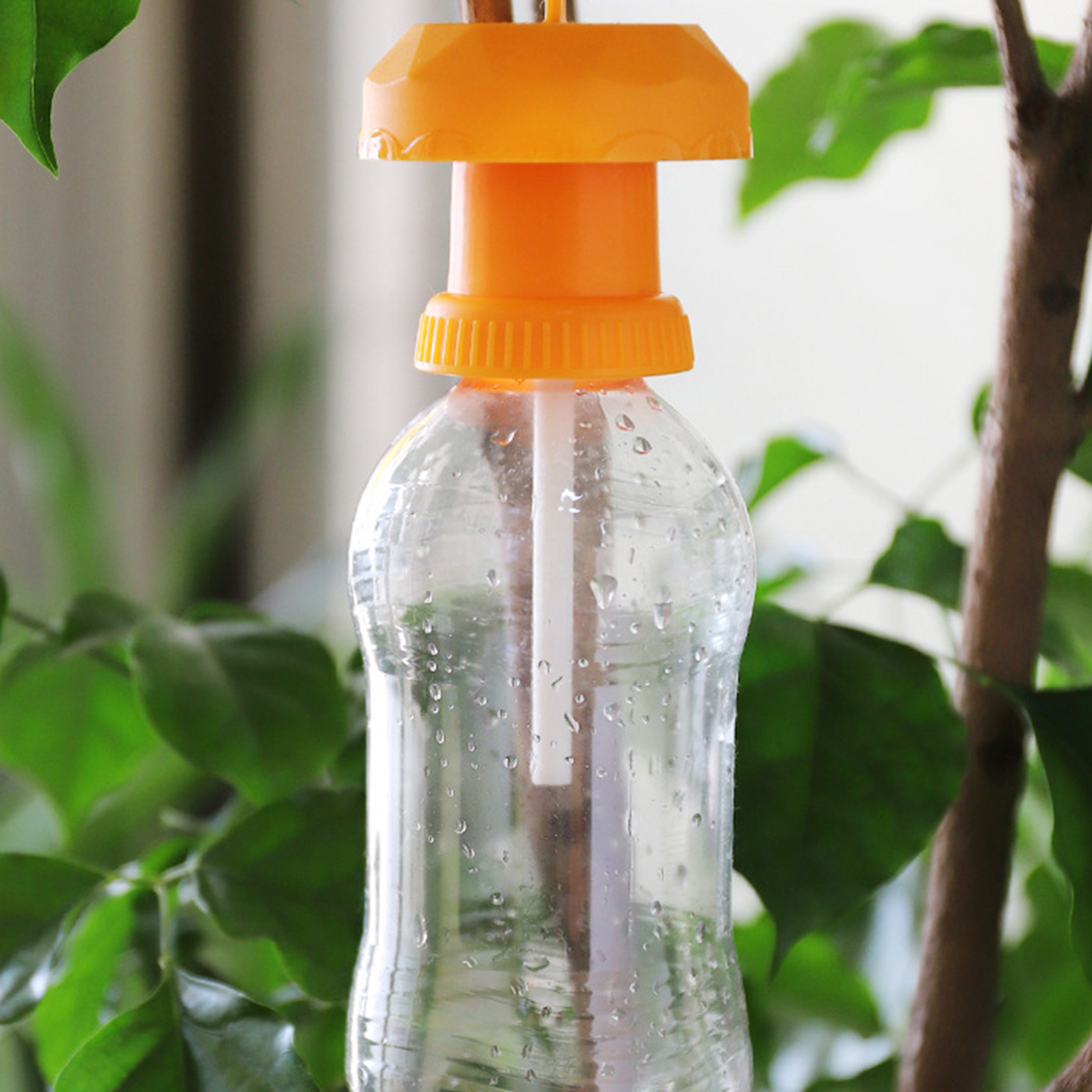 Description Picture 5 of itemFruit Fly Trap Killer Plastic Geel Drosophila Val Fly Catcher Pest Insect Control Voor Home Boerderij Boomgaard 6*6*2 Cm