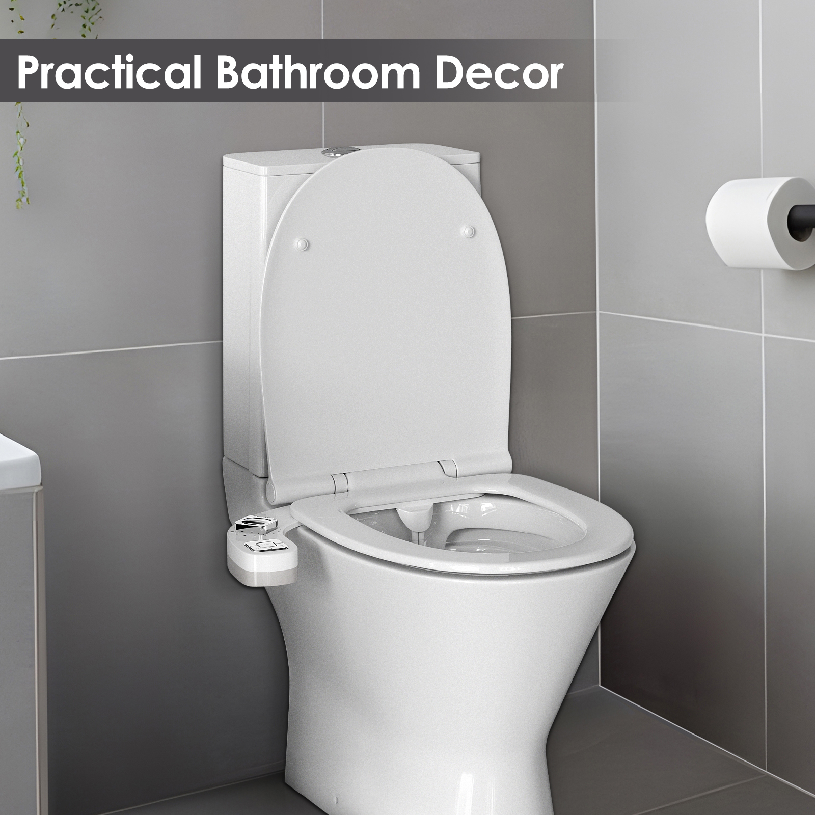 tualeto bidet priedas