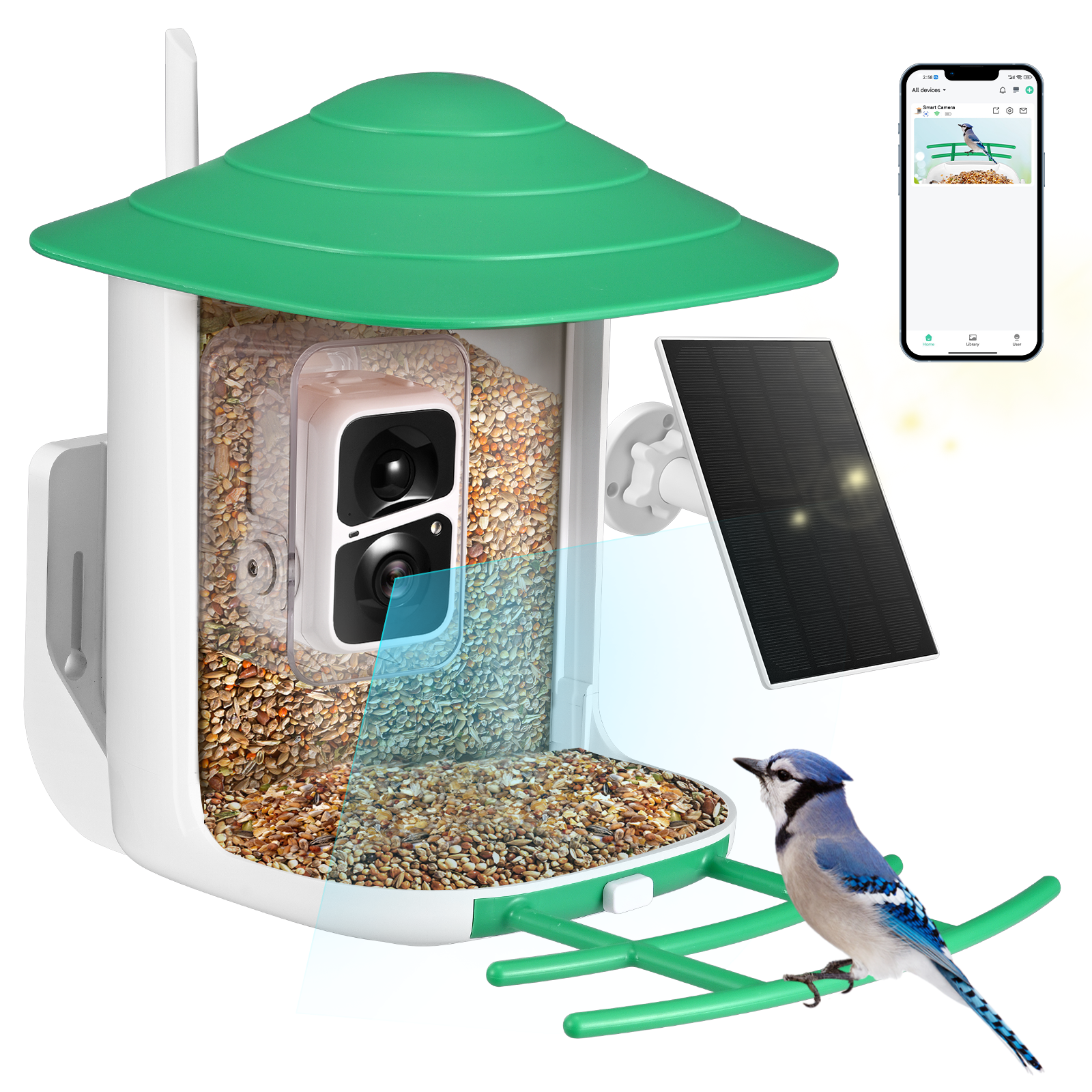Smart Bird Feeder avec caméra, identification AI 11000+ espèces d