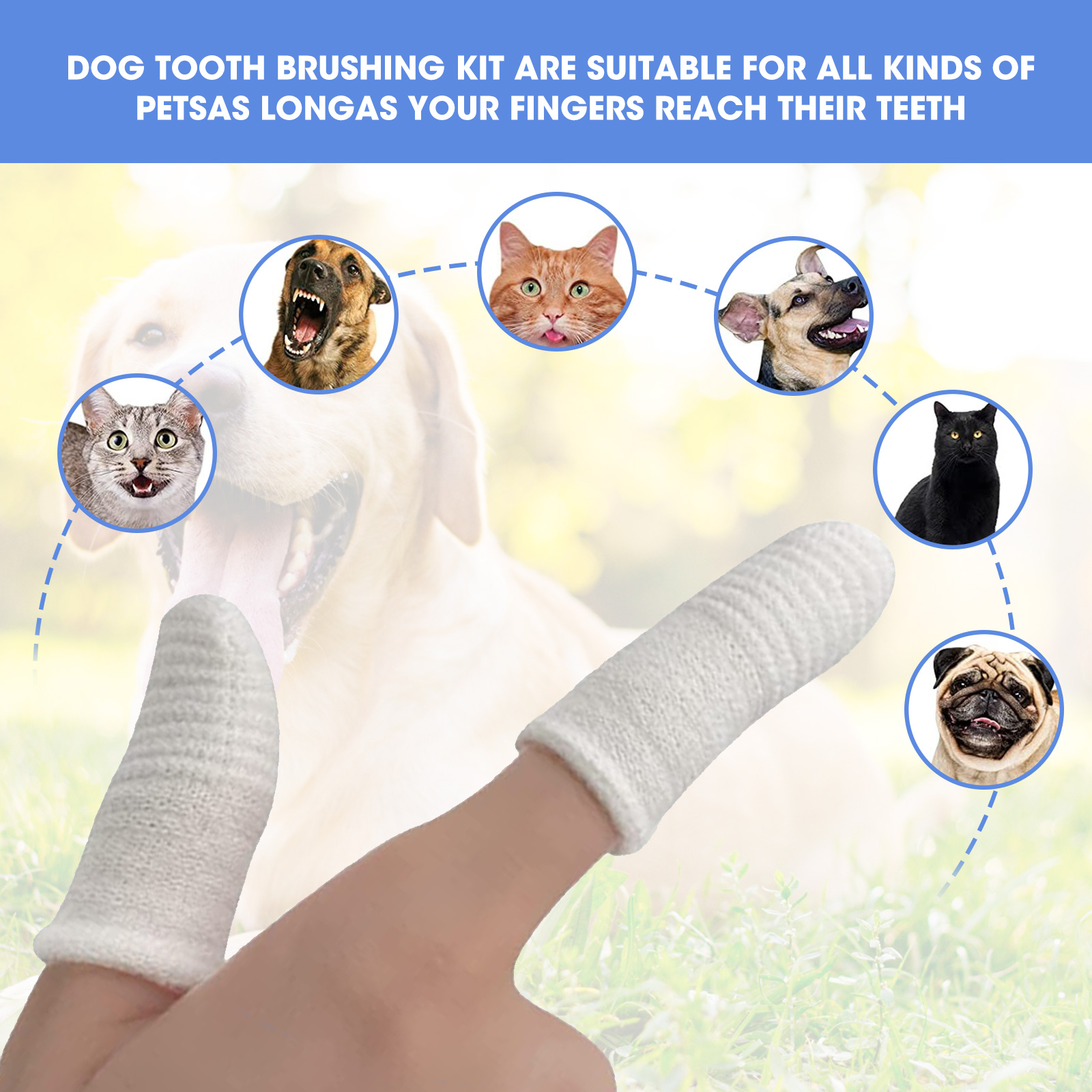 Soft Pet Teeth Brushing Finger Cots | Dog Toothbrush | Oral Cleaning Tool